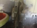 Dental X-ray Matching