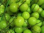দেশি আমালকি