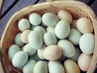 দেশি হাঁসের ডিম