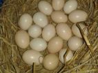 দেশি মুরগি ডিম বিক্রি করা হবে