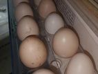 দেশি মুরগির বিজ ডিম বিক্রি