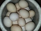 দেশি মুরগির ডিম