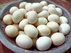 দেশি মুরগির ডিম