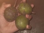 দেশী জাত আমড়া বিক্রয় করা হইবে