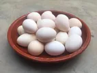 দেশী মুরগীর ডিম