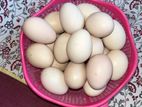 দেশী মুরগির বীজ ডিম বিক্রি। fertile egg.