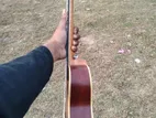 Devidser Ukulele 24icn