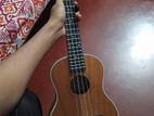 Deviser 26" Ukulele