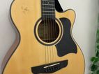 Deviser Acoustic Guitar