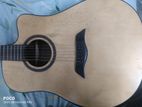 Deviser Acoustic Guitar