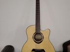 Deviser Acoustic Guiter