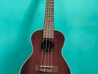 Deviser Concert Size (24 inch Ukulele)