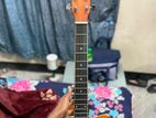 Deviser guiter fresh condition