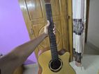 Deviser L-720A Pure Acoustic Guitar