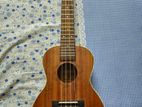 Deviser Ukulele 24" Model D-10