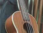 Deviser Ukulele Model No: Uk 26-30