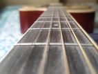 Devisor L-506 Pure Acoustic Guitar