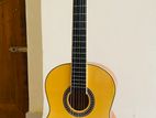 Devisor nylon strings guitar (almost new)