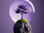 Glass globe ball with tree growing