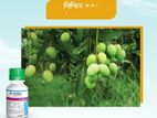 ধামাকা অফারে কলটার কিনুন