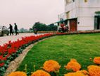 দীর্ঘমেয়াদী পরিকল্পনায় বিনিয়োগ করুন "মধু সিটিতে "