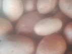 আলু বিক্রি করা হবে