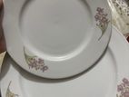 Dinner Plate