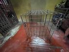 Dog kennel full set-up 1room