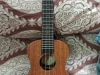 Donner solid acoustic Ukulele with fresh condition.