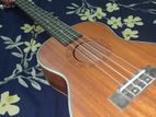 Donner Ukelele, 26 inch, brand new with 3 picks free