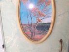 Door Palla for sell