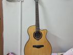 Dotch MD-100C Solid Spruce Top Premium Acoustic Guitar