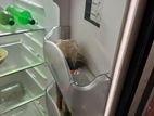 Double Door fridge