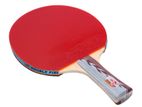 Double Fish Table Tennis Rackets 5DC