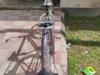 Phoenix Bicycle for sale