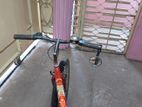 Dragon bicycle for sell