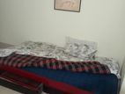 Drawer bed single with jajim and matress Combo
