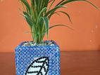Drimond Planters