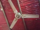 Fan for sell