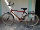 Bicicle for sale