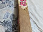 DSC Cricket bat