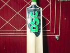 Dsc Cricket bat