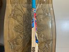 DSc cricket Bat