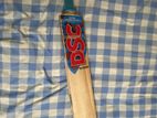 DSC cricket bat