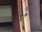 Dsc cricket bat