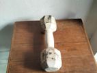 DUMBBELL 5.5 KG