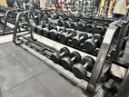 Dumbbell Rake with Weight