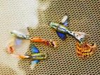 Dumbo Mosaic Guppy