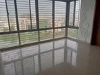 Duplex 4200-Sqft Lake View Luxurious Apartment rent in Gulshan