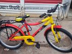 Duranta 20 Size Baby Cycle